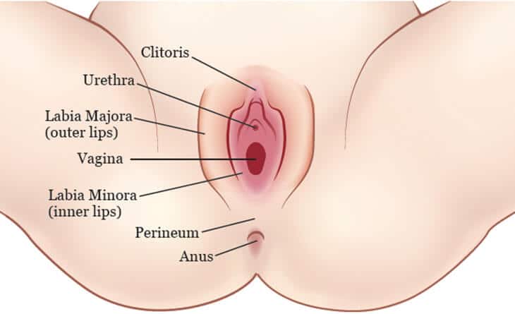 Female Genital Rejuvenation